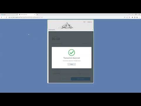 HST Pay - An In-Depth Walkthrough